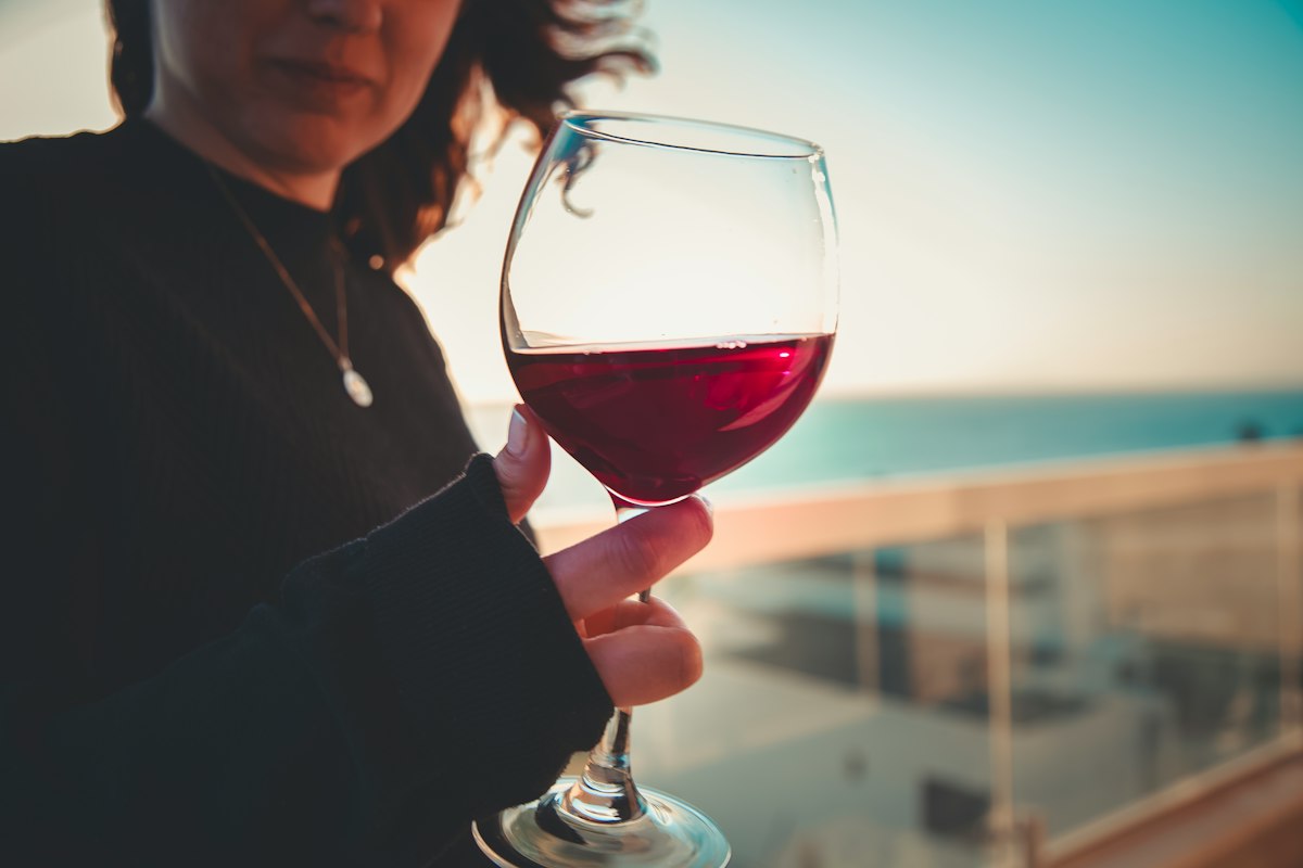Jamón y vino español tradicional